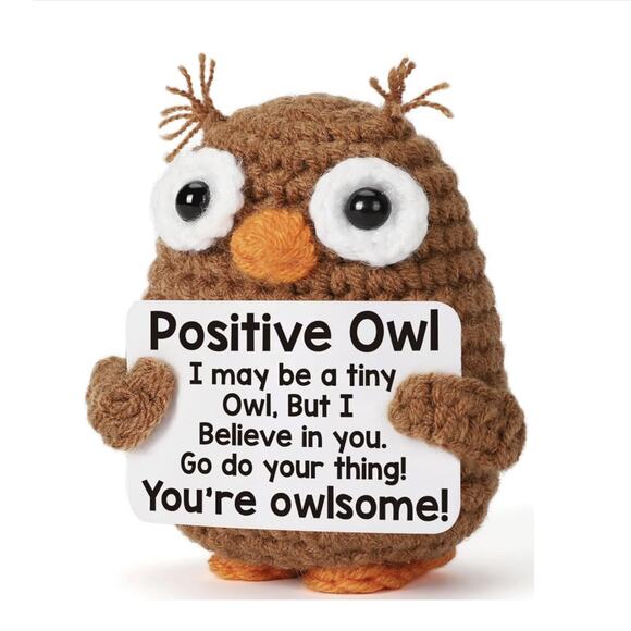 Handmade Crochet Owl with Positive Message | Inspirational Desk Decor | Owlsome - Picture 1 of 6